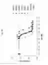 Fig. 30 - ANG2-BINDING MOLECULES