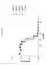 Fig. 66 - ANG2-BINDING MOLECULES