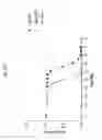 Fig. 74 - ANG2-BINDING MOLECULES