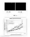 Fig. 13 - Provasopressin antagonists and uses thereof