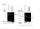 Fig. 04 - Intracellular delivery compounds