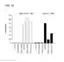 Fig. 20 - Intracellular delivery compounds
