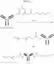 Fig. 41 - Intracellular delivery compounds