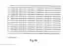 Fig. 48 - Neutralizing Antibodies and Methods of Use Thereof