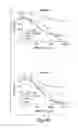 Fig. 49 - Neutralizing Antibodies and Methods of Use Thereof