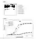 Fig. 03 - STABILIZED SINGLE DOMAIN ANTIBODIES