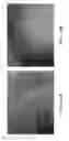 Fig. 15 - Wet coating compositions for paper substrates, paper substrates coated with the same and process for coating a paper substrate with the same