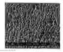 Fig. 01 - Water-based hydrogel blend coating and method of application to elastomeric articles