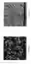 Fig. 05 - Water-based hydrogel blend coating and method of application to elastomeric articles