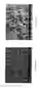 Fig. 06 - Water-based hydrogel blend coating and method of application to elastomeric articles