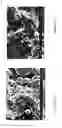 Fig. 09 - Water-based hydrogel blend coating and method of application to elastomeric articles
