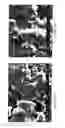 Fig. 10 - Water-based hydrogel blend coating and method of application to elastomeric articles