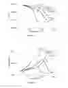 Fig. 03 - DELAYED CURING HIGH Tg CRASH DURABLE ADHESIVE