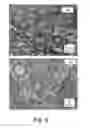 Fig. 10 - DEGRADABLE HEAT TREATABLE COMPONENTS