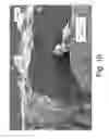 Fig. 11 - DEGRADABLE HEAT TREATABLE COMPONENTS