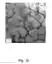 Fig. 16 - DEGRADABLE HEAT TREATABLE COMPONENTS