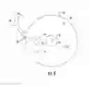Fig. 05 - Alcoholic beverage maturing device
