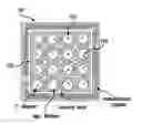 Fig. 01 - Micro-fabricated multi-well chips for long term automated imaging of growth and behavior
