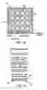 Fig. 02 - Micro-fabricated multi-well chips for long term automated imaging of growth and behavior