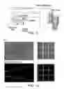 Fig. 03 - Micro-fabricated multi-well chips for long term automated imaging of growth and behavior