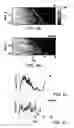 Fig. 05 - Micro-fabricated multi-well chips for long term automated imaging of growth and behavior
