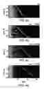 Fig. 11 - Micro-fabricated multi-well chips for long term automated imaging of growth and behavior