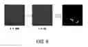 Fig. 18 - Micro-fabricated multi-well chips for long term automated imaging of growth and behavior