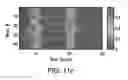 Fig. 22 - Micro-fabricated multi-well chips for long term automated imaging of growth and behavior