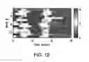 Fig. 23 - Micro-fabricated multi-well chips for long term automated imaging of growth and behavior