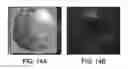 Fig. 25 - Micro-fabricated multi-well chips for long term automated imaging of growth and behavior