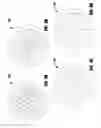 Fig. 06 - Apparatus, Systems and Methods for Oxygenating Liquid Media to Enhance Microorganism Growth