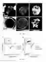 Fig. 10 - Methane oxidation methods and compositions