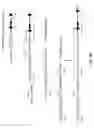 Fig. 08 - Human lambda light chain mice