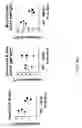 Fig. 17 - Human lambda light chain mice