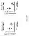 Fig. 21 - Human lambda light chain mice