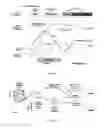Fig. 02 - Production of virus-receptive pluripotent stem cell (PSC)-derived hepatocytes