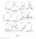 Fig. 16 - METHODS FOR DIFFERENTIATION