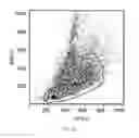 Fig. 02 - Therapeutic use of CD31 expressing cells