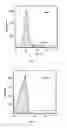 Fig. 04 - Therapeutic use of CD31 expressing cells