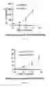 Fig. 44 - Therapeutic use of CD31 expressing cells