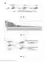 Fig. 06 - Multi-lineage hematopoietic precursor cell production by genetic programming