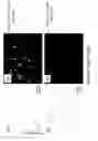 Fig. 17 - Single cell microfluidic device