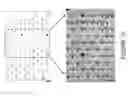 Fig. 19 - Single cell microfluidic device