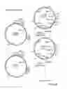 Fig. 03 - SURFACE DISPLAY OF WHOLE ANTIBODIES IN EUKARYOTES