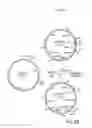 Fig. 04 - SURFACE DISPLAY OF WHOLE ANTIBODIES IN EUKARYOTES