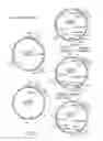 Fig. 05 - SURFACE DISPLAY OF WHOLE ANTIBODIES IN EUKARYOTES