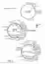 Fig. 08 - SURFACE DISPLAY OF WHOLE ANTIBODIES IN EUKARYOTES
