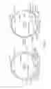 Fig. 12 - SURFACE DISPLAY OF WHOLE ANTIBODIES IN EUKARYOTES