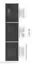 Fig. 19 - SURFACE DISPLAY OF WHOLE ANTIBODIES IN EUKARYOTES