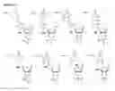 Fig. 06 - Oligonucleotide end caps